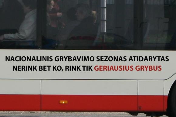 15min.lt skaitytojo Tomo aūkis/Grybavimo sezonas atidarytas