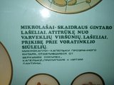 G.Kubiliūtės nuotr./Užrašai Gintaro muziejuje tik rusų ir lietuvių kalbomis