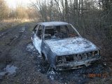 Alytaus apskrities VPK nuotr./Pamiškėje sudeginti „VW Golf“ automobiliai.