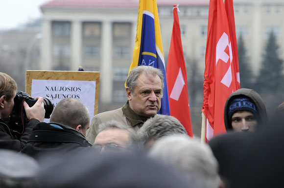 Andriaus Vaitkevičiaus/15min.lt nuotr./Julius Veselka mitine prie Seimo