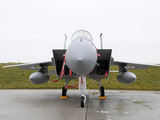 Andriaus Vaitkevičiaus/15min.lt nuotr./F-15C Eagle šį kartą liko ant žemės