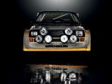 Gamintojo nuotr./„Audi Sport Quattro“