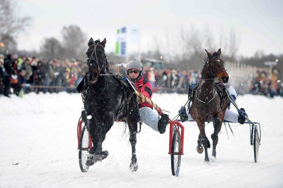 A.Pliadžio nuotr./Sartai 2011 žirgų lenktynių akimirka