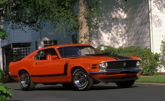 Gamintojo nuotr./Ford Mustang Boss 302