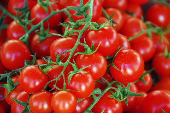 Pomidorų privalumai: sumažina kraujo klampumą, yra natūralus antioksidantas ir pagerina nuotaiką