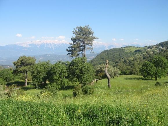 R.Vinterytės nuotr./Turkijos peizažas