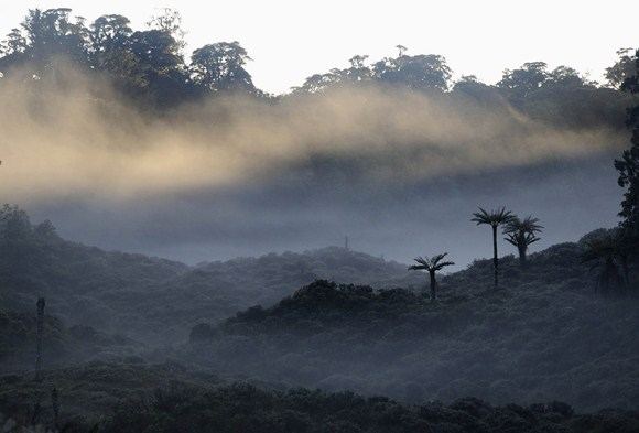 AFP/Scanpix nuotr./Papua Naujoji Gvinėja
