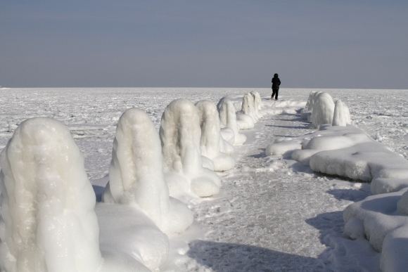 Reuters/Scanpix nuotr./Užaalo Odesos įlanka