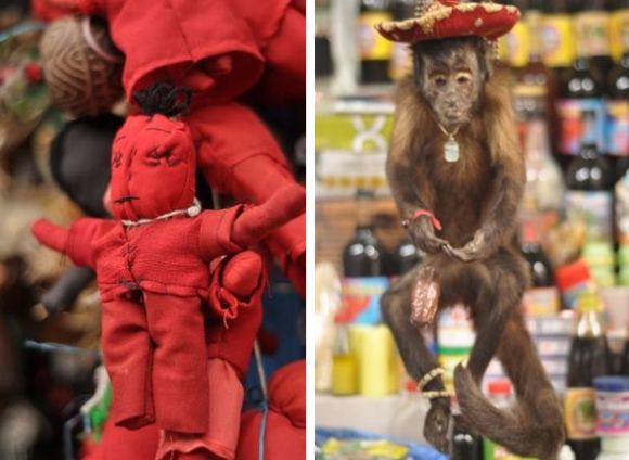 Greitgrisim.lt nuotr./Vudu lėlė ir negyva bezdžionėlė, kuri parduodama aamaniakoms apeigoms