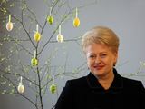 Prezidentės spaudos tarnybos nuotr./Dalia Grybauskaitė