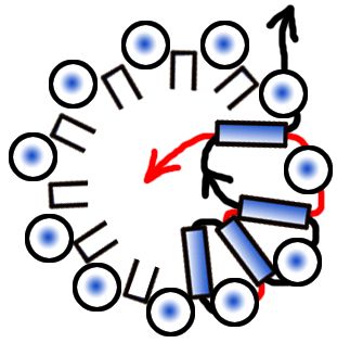 Vėrimo schema Nr. 4