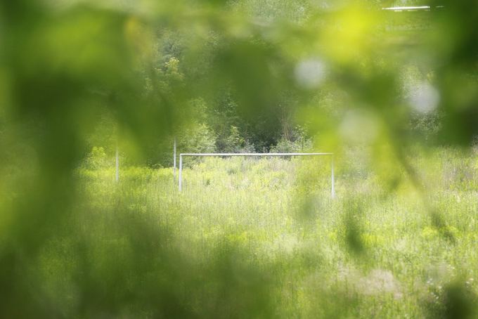 Irmanto Gelūno/15min.lt nuotr./Stadionas panaaus į džiungles.