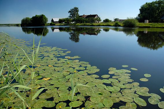 JI redakcijos archyvo nuotr./Mingės kaimas