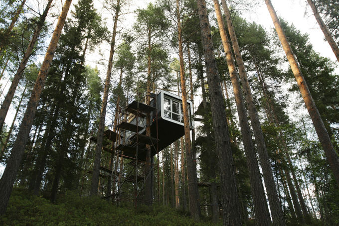 Reuters/Scanpix nuotr./"Treehotel"