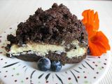 Autorės nuotr./Šokoladinis varškės pyragas su „Rygos balzamu“
