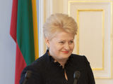 Juliaus Kalinsko/„15 minučių“ nuotr./Dalia Grybauskaitė