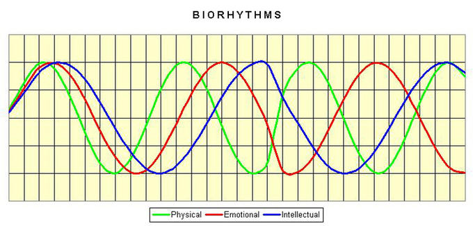 Bioritmai