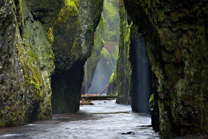 Shutterstock nuotr. / Oneontos tarpeklis Oregono valstijoje, JAV