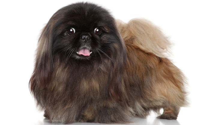 Fotolia nuotr. / Pekinas