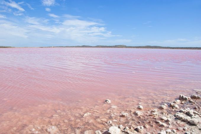 123rf.com nuotr./Gamtos iadaigos  rožiniai pasaulio ežerai