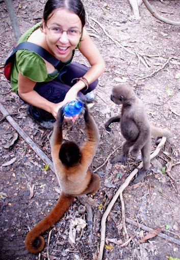 Asmeninio arch. nuotr. /Amazonė. Kolumbija. Smalsios beždžionėlės
