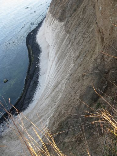 Sandros Andriūnaitės nuotr./Kreidos klodai Riugeno pakrantėje