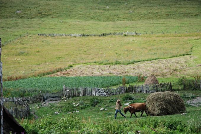 A.`ileikio nuotr./Vasaros darbai Uagulio kaimelyje