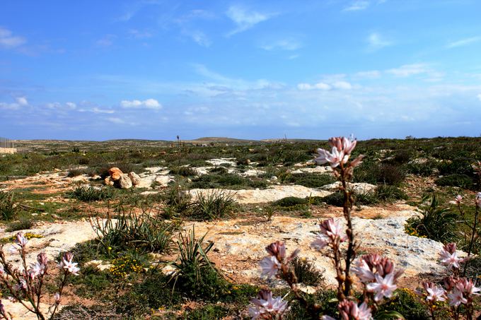 15min.lt/Pauliaus Jurkevičiaus nuotr. /Lampedūzos sala, Triuaių įlanka. 