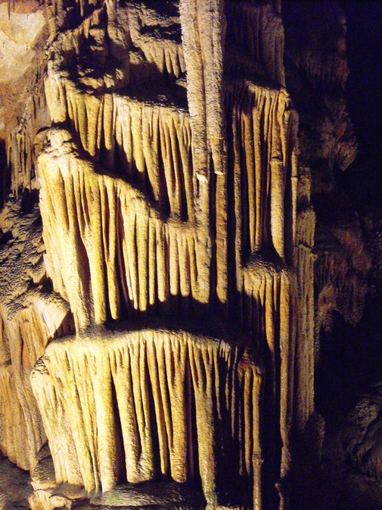 Wikimedia.org nuotr./Saevos skylės urve yra vienas didžiausių pasaulio stalaktitų