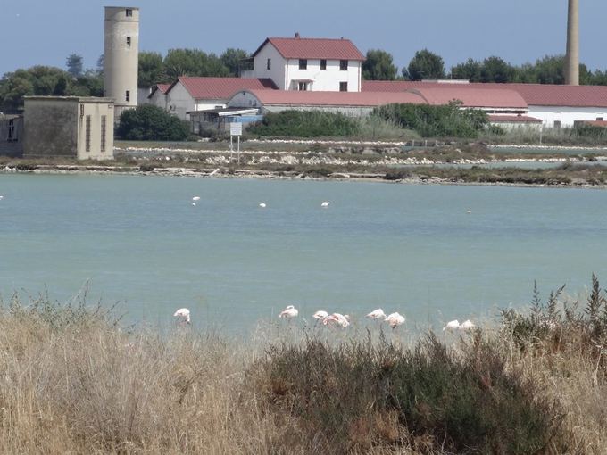 Eimučio Kvoačiausko nuotr./Eimučio Kvoačiausko atostogų akimirka Sardinijoje 