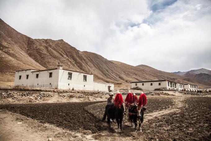Be sienų nuotr./Tibeto kultūra po sparčiai nyksta