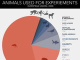 Salte.com iliustr./Moksliniuose eksperimentuose naudojamų gyvūnų santykinis pasiskirstymas