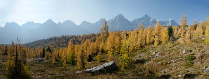 L.Pamparaitės nuotr./Kalnų gamta