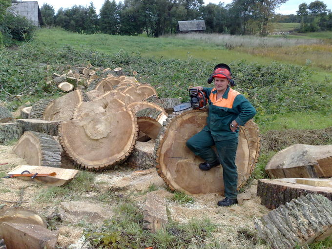 Profesionalus pjūklininkas ia Ignalinos rajono Romas Vitėnas sako, kad geresnio pjūklo už HUSQVARNA 560 XP® nėra turėjęs