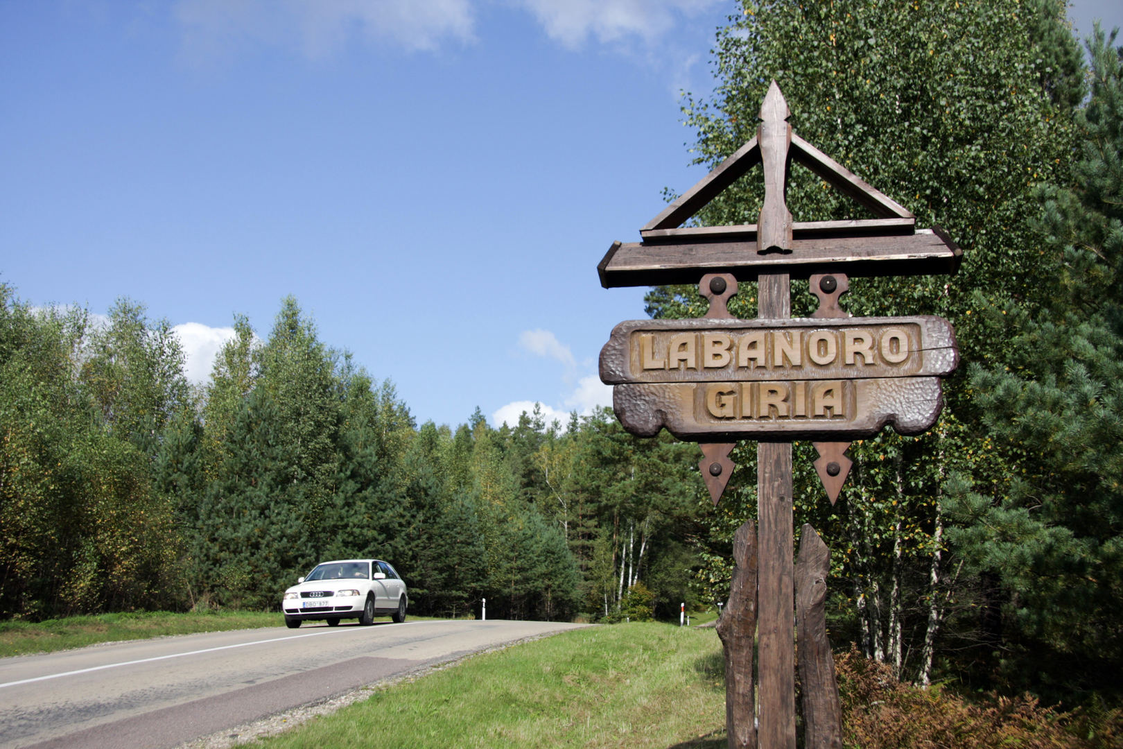 Лабанорская пуща – самый крутой лес Литвы 