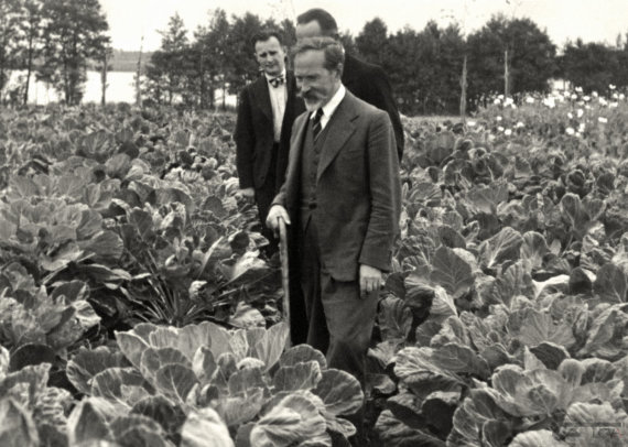 photo of virtual-parodos.archyvai.lt/Antanas Smetona in a cabbage field at his mansion in Užugiris