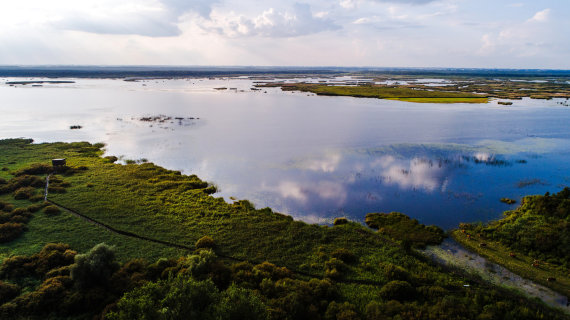 Photo by Artūras Lavrėnovas / Žuvintas Biosphere Reserve