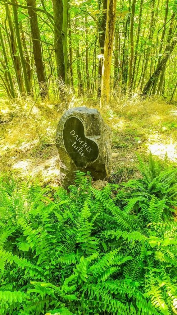 Seaside reg.  photo of the park / animal cemetery in Holland's hat