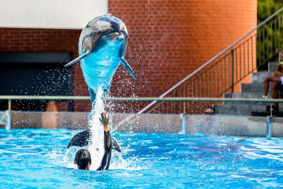 Photo of the Maritime Museum / Dolphin Show