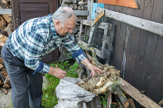 Photo by Julius Kalinskas / 15min / Eugenijus Majus shows dirty wool.