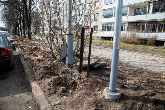 Photo by Julius Kalinskas / 15min / Roots of many trees damaged during lighting management at Hazelnuts