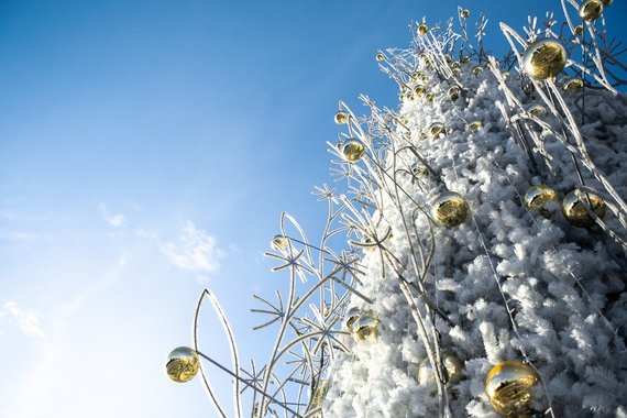 JP.lt/Rimvydas ANČEREVIČIUS photo / Panev treežys Christmas tree