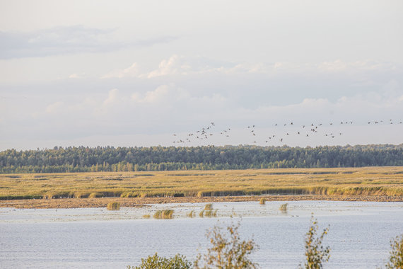 Photo by Ernesta Čičiurkaitė / 15min / Žuvintas Biosphere Reserve