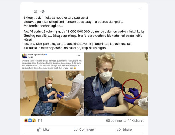 Facebook Screenshot / Suspicion caused by a syringe with a covered needle attached to Dalia Grybauskaitė's hand