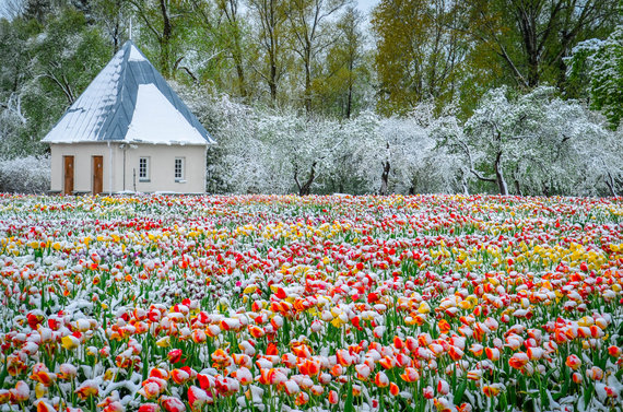 Photo by Laura Prascevičiūtė / Burbiškis mansion