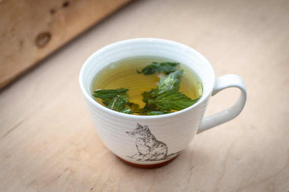 Photo by Evaldas Virkeitis / Herbal Tea