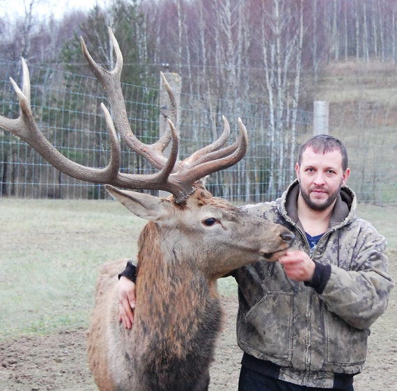 Personal archive photo / The Šimonėliai family raises deer