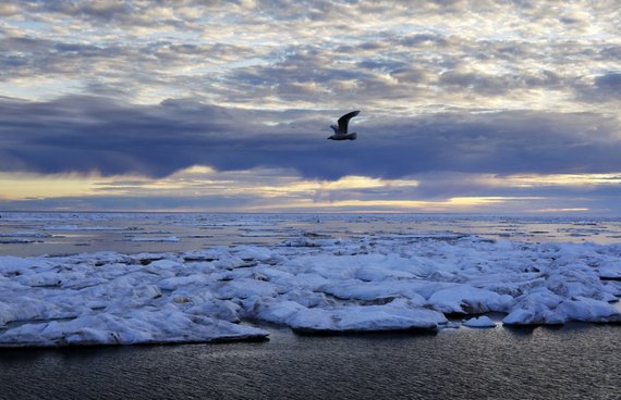 Scanpix / AP Photo / Melting Arctic Landscapes