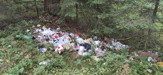 Photo by Karolina Stažytė / Trash translated in the Labanoras forest