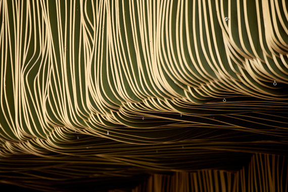 Photo of Vytautas Luchtanas / Interior of the Vilnius Concert and Sports Hall. A panel of wooden slats created by Regimantas Karvaliauskas